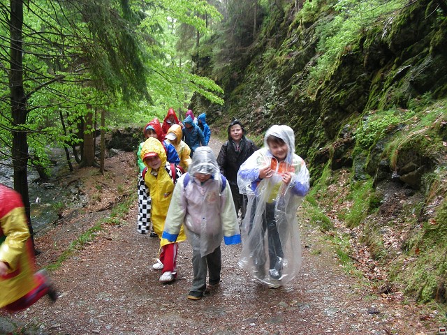 img00029.jpg