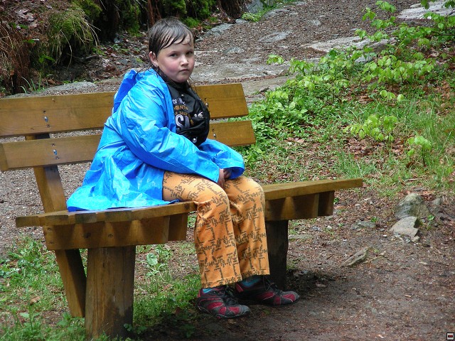 img00035.jpg