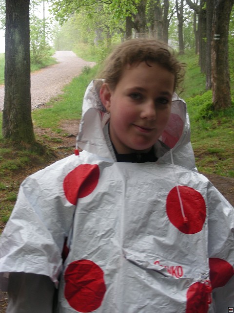 img00041.jpg