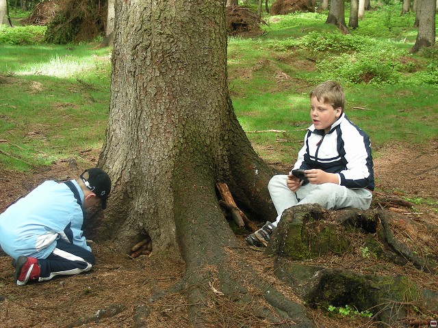 img00053.jpg