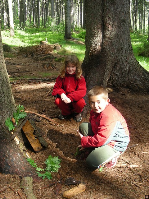 img00059.jpg