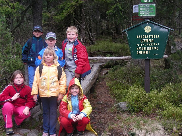 img00061.jpg
