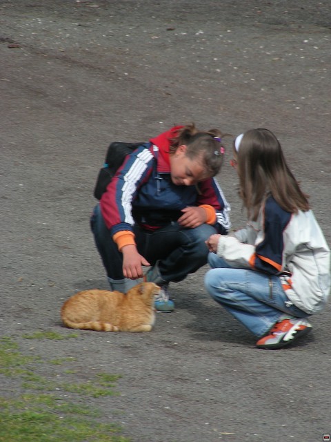 img00091.jpg
