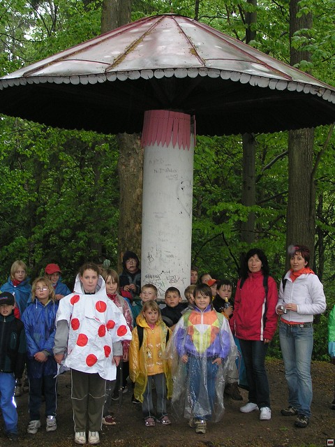 img00118.jpg