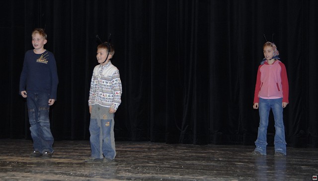img00028.jpg