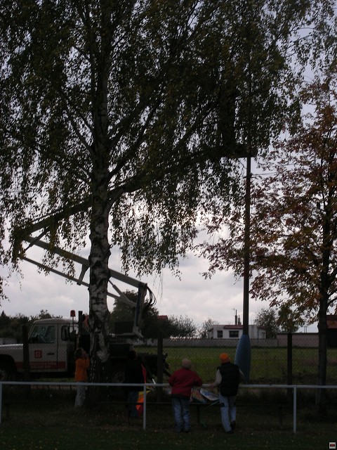 img00020.jpg