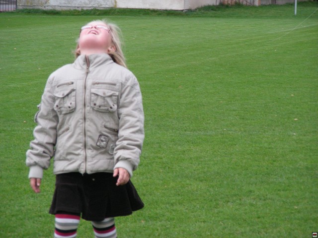 img00028.jpg