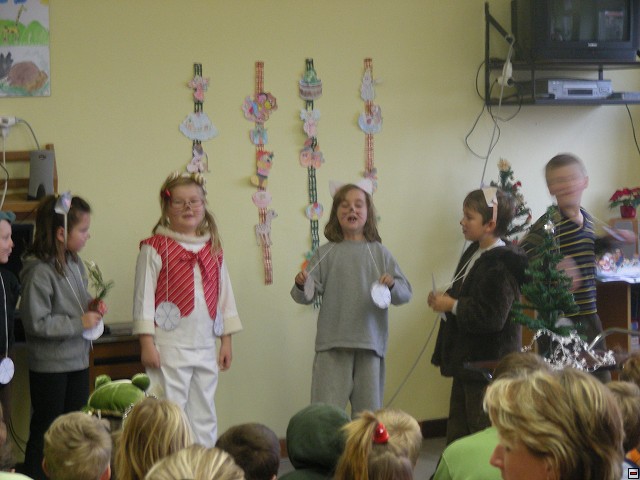 img00009.jpg