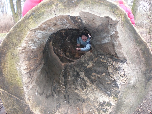 img00011.jpg