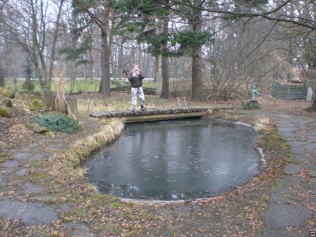img00017.jpg