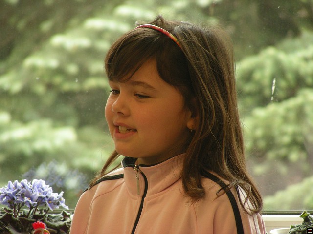 img00050.jpg