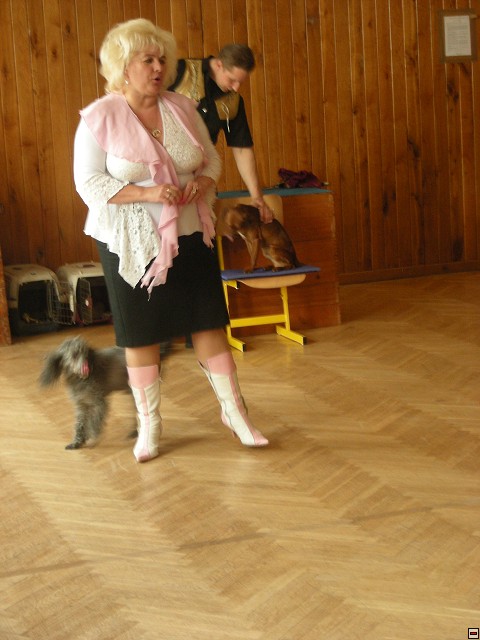 img00007.jpg