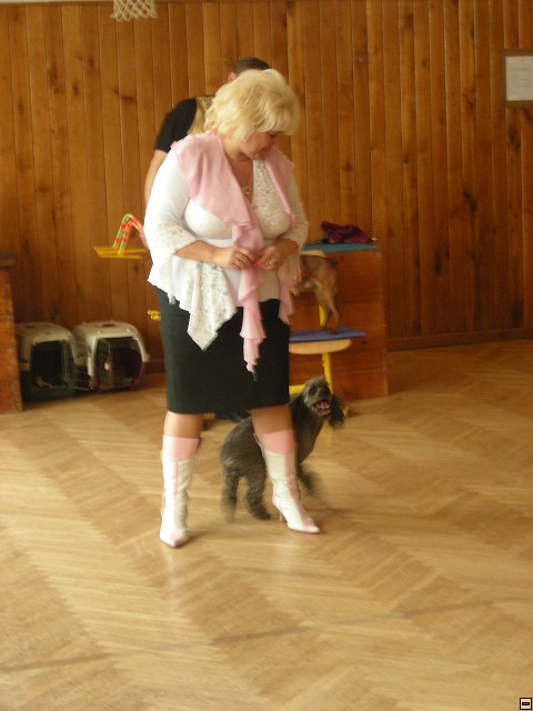 img00008.jpg