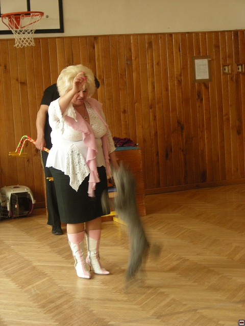img00009.jpg