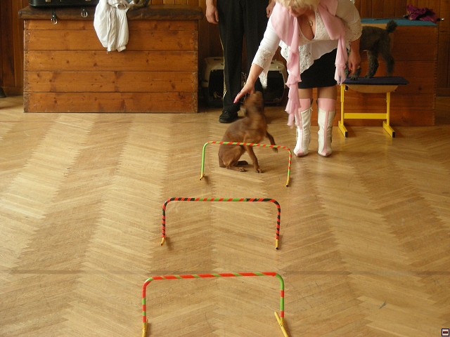 img00010.jpg