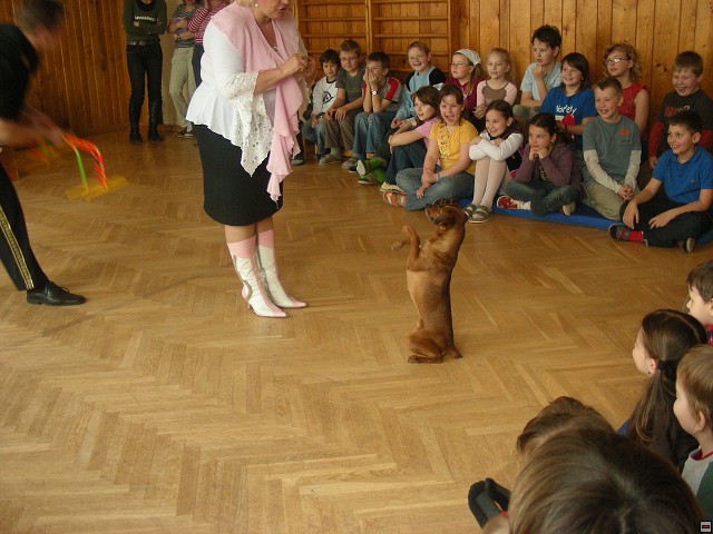 img00011.jpg