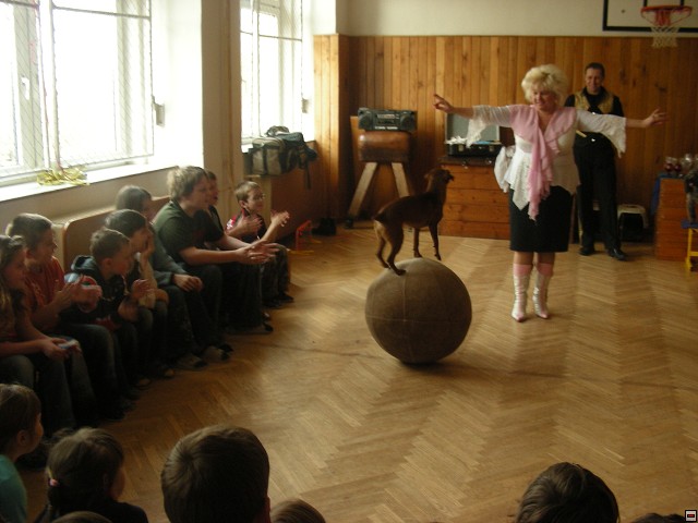 img00012.jpg