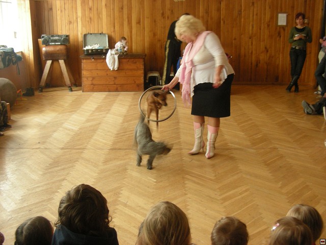 img00013.jpg