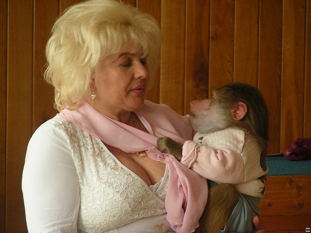 img00039.jpg