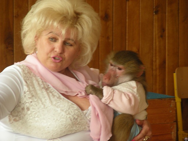 img00040.jpg