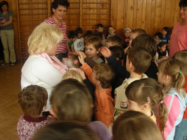 img00042.jpg