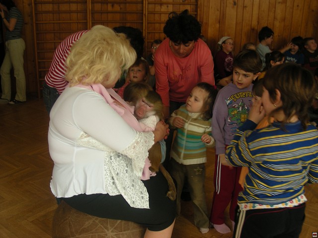 img00044.jpg