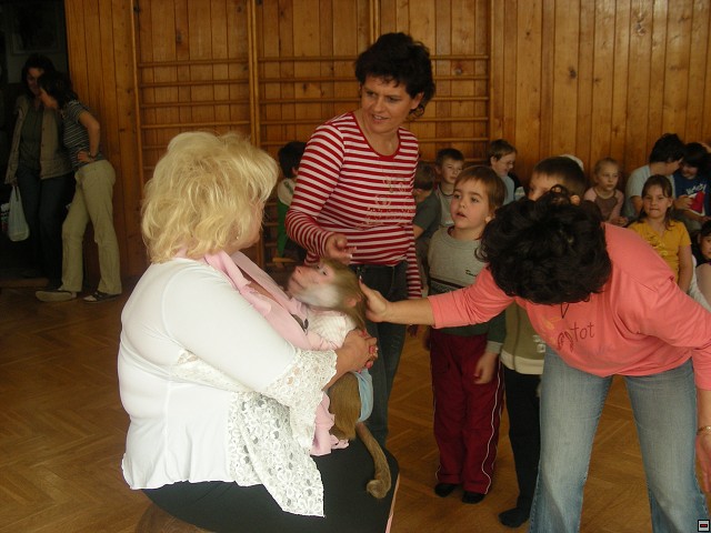img00045.jpg