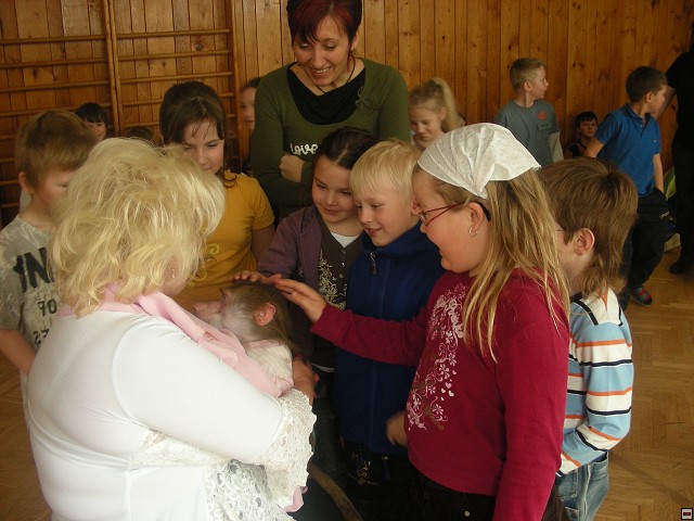 img00047.jpg