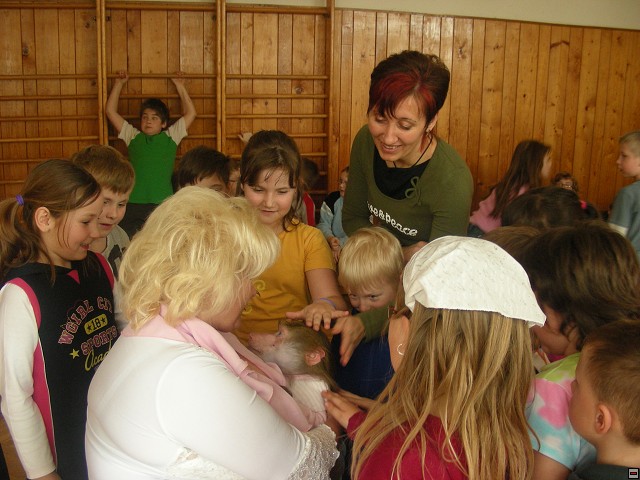img00048.jpg