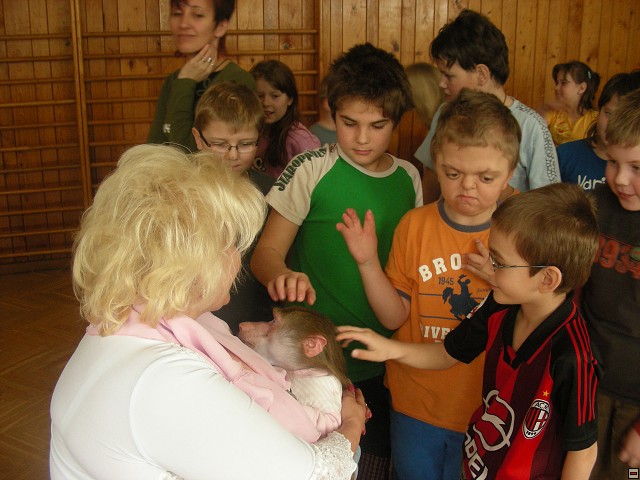 img00049.jpg