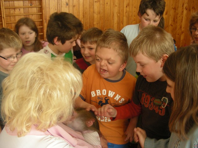 img00050.jpg