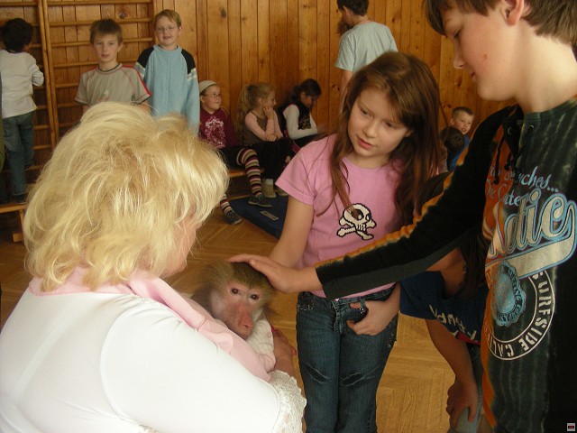 img00051.jpg