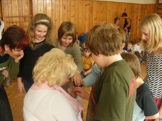 img00052.jpg