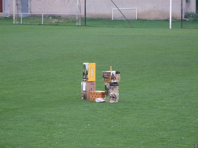 img00006.jpg