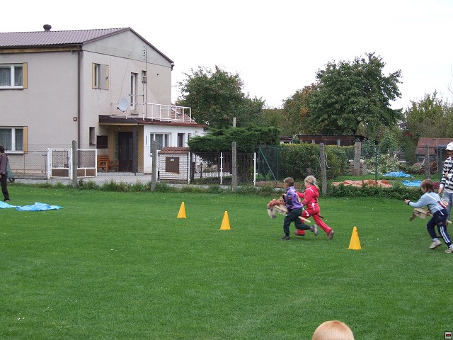 img00024.jpg