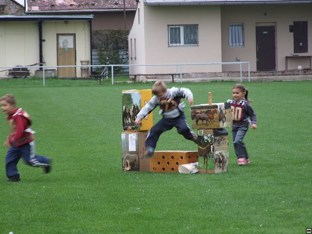 img00030.jpg