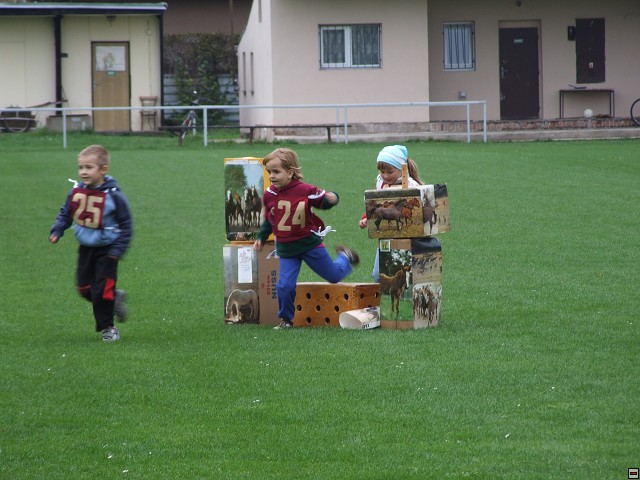 img00031.jpg
