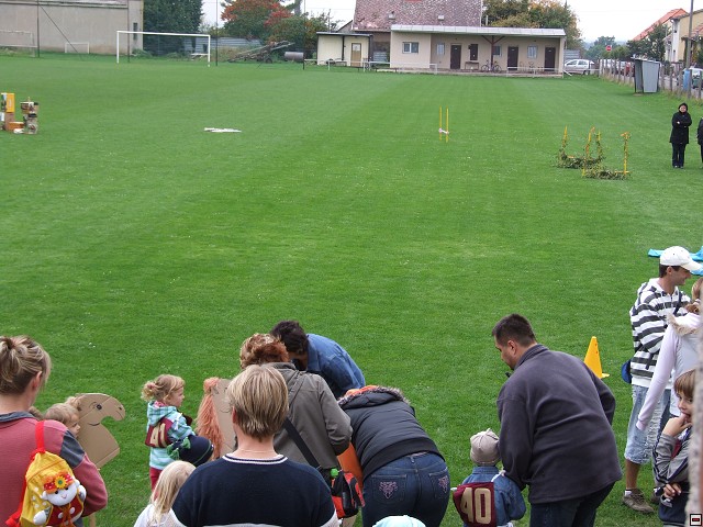 img00036.jpg